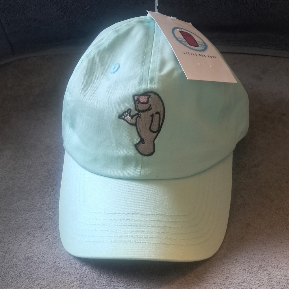 Little Box Guy Brand Manatee UWT Teal Mint Greenish Hat
